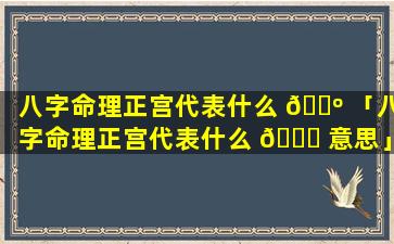 八字命理正宫代表什么 🌺 「八字命理正宫代表什么 🐟 意思」